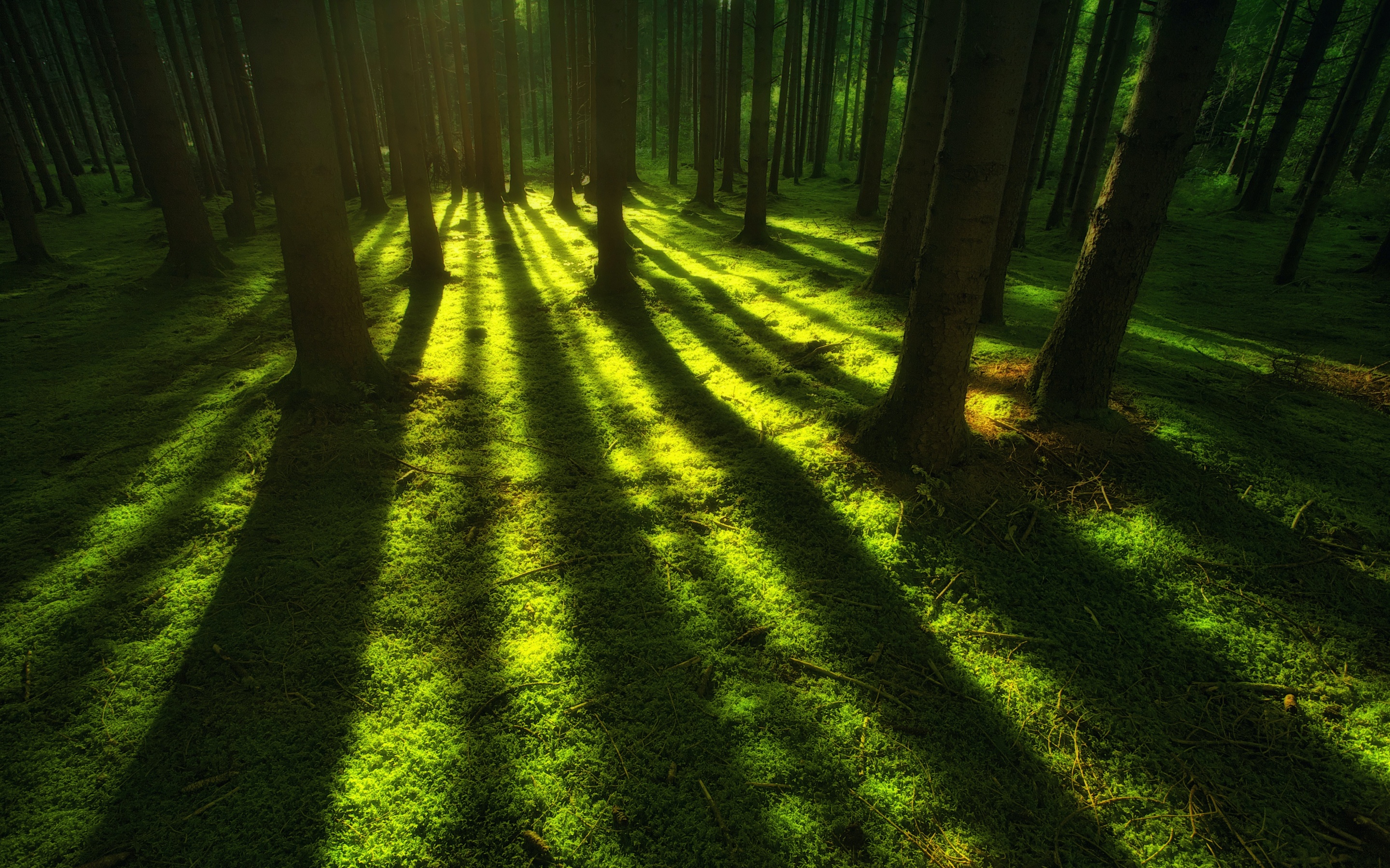 Free Nature Mindfulness Cards to Download