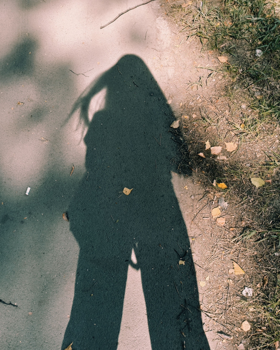 A person's long shadow on a path beside grass and fallen leaves